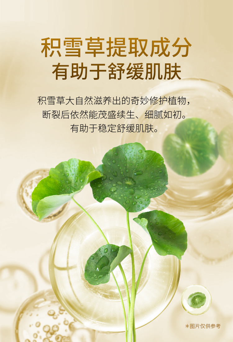 img upload - 43288049-e14a-4213-84fa-f5942cdcc6a8