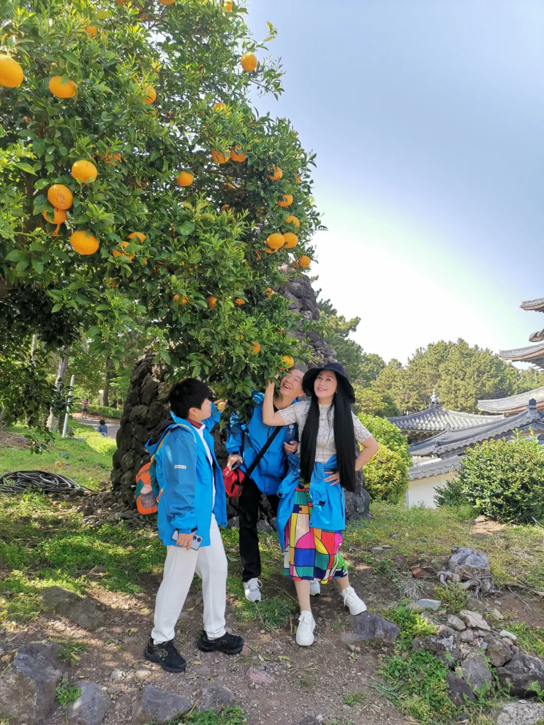 img upload - 5d906326-cd10-4766-91ff-460fa8662e84