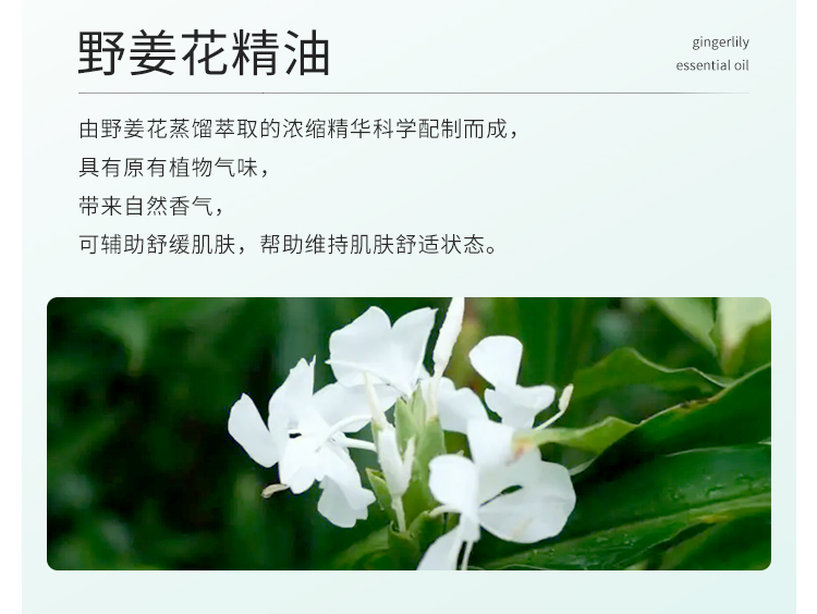 img upload - a86ad8f9-f8ff-448c-b69c-9f23d500e230